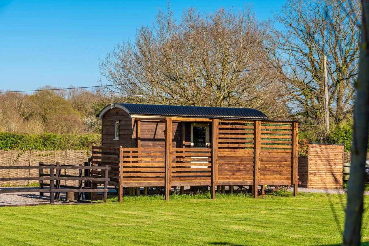 Hillside View Shepherds Hut - Ockeridge Rural Retreats Little Witley Exterior foto